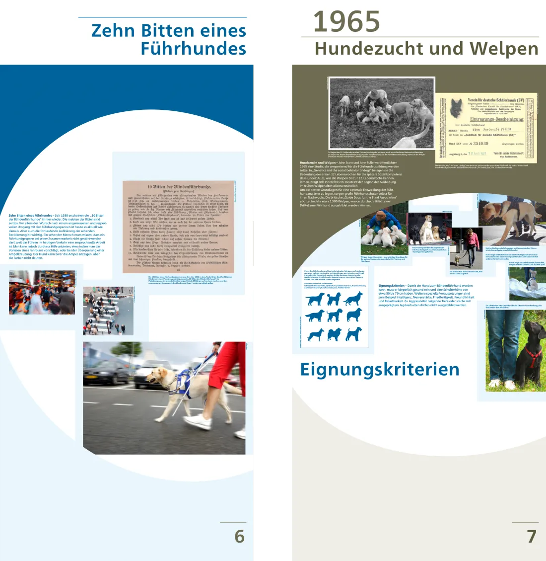 ausstellungsgrafik_blindenverband_slider4