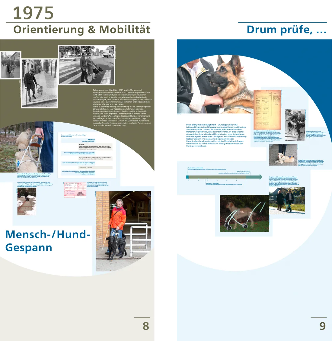 ausstellungsgrafik_blindenverband_slider5