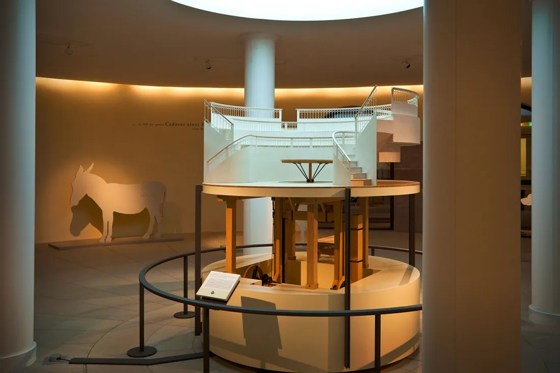 ausstellungsgrafik_tieranatomisches_theater_raum1