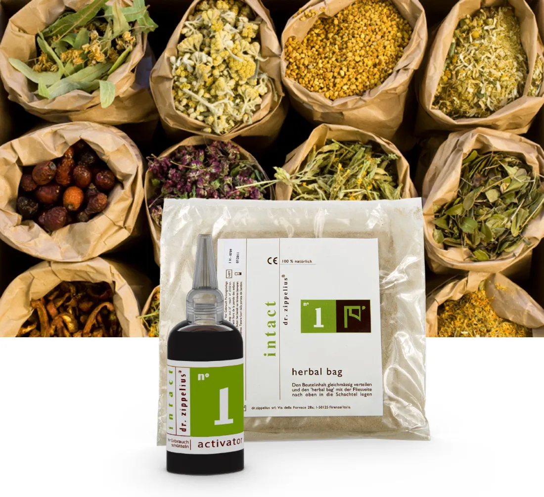 drzippelius_herbalbag(c)dagmarpuzberg
