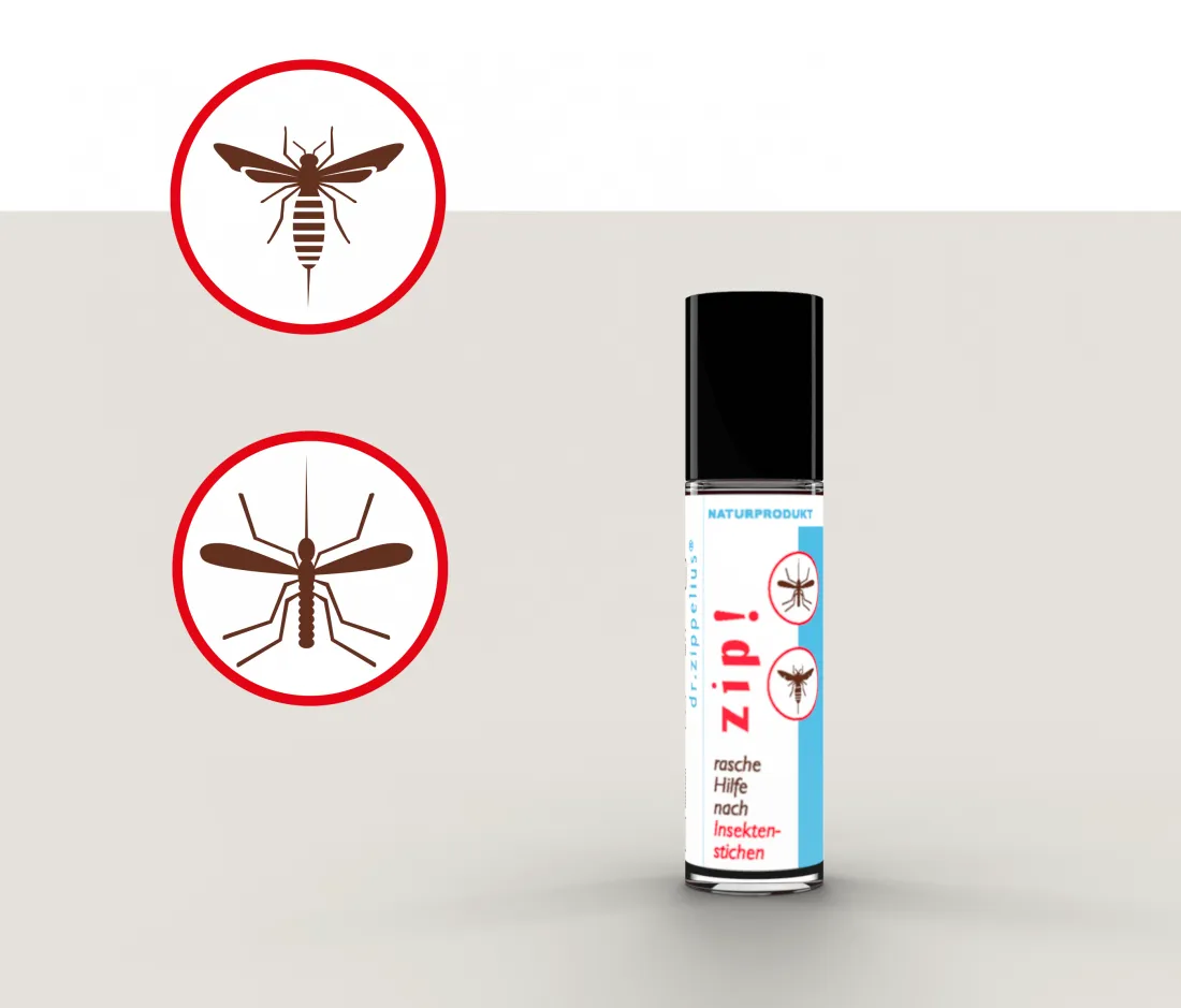 drzippelius_insektenroller(c)dagmarpuzberg