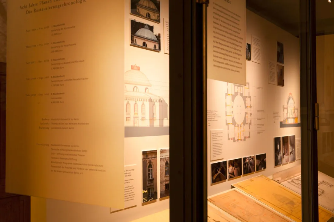 ausstellungsgrafik_Tieranatomisches Theater Raum