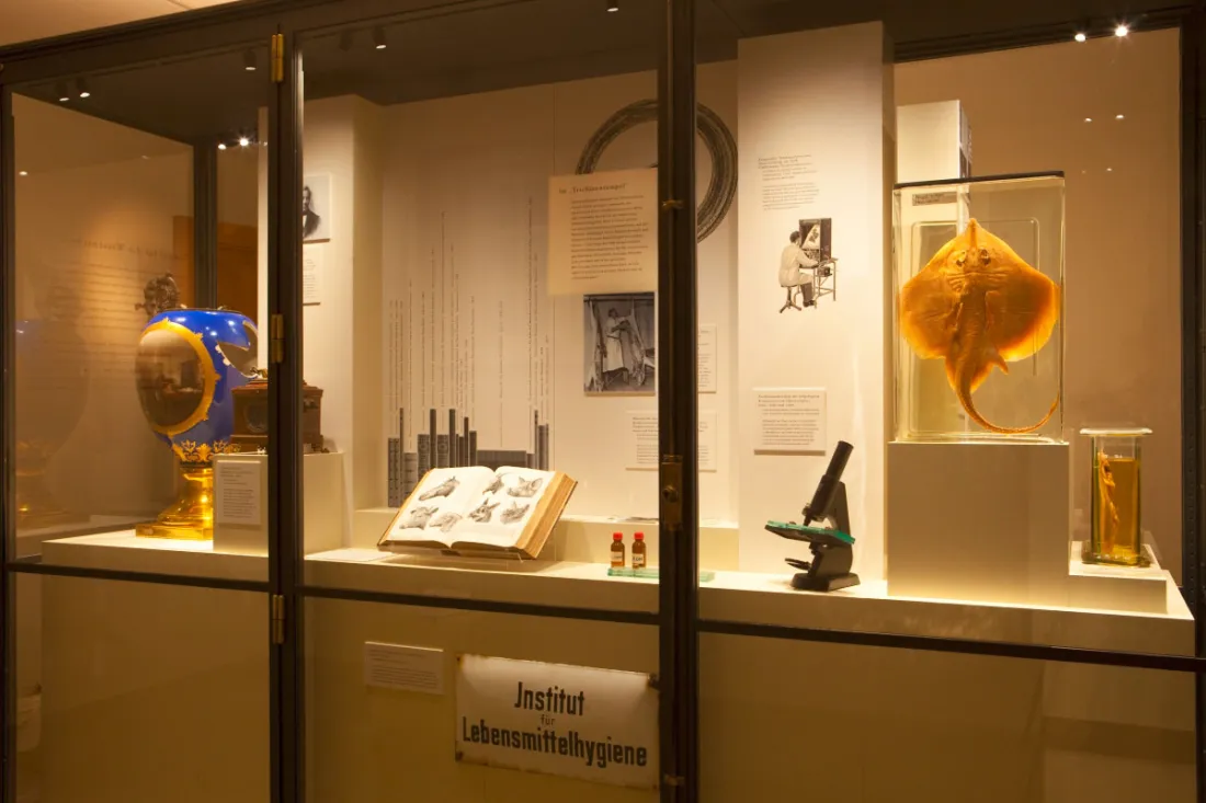 ausstellungsgrafik_Tieranatomisches Theater Raum
