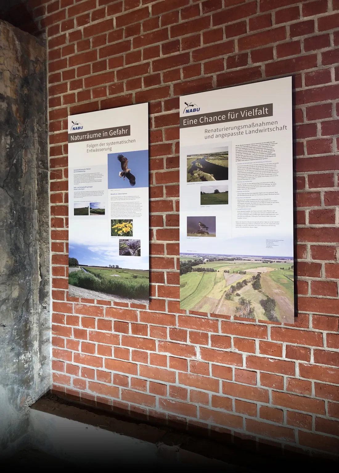 ausstellungsgrafik_schoepfwerk_innen(c)dagmarpuzberg